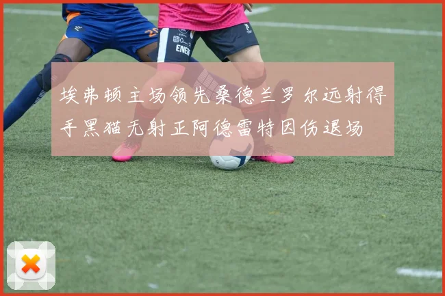 埃弗顿主场领先桑德兰罗尔远射得手黑猫无射正阿德雷特因伤退场