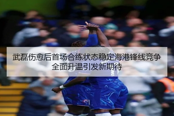 武磊伤愈后首场合练状态稳定海港锋线竞争全面升温引发新期待（kaiyun）